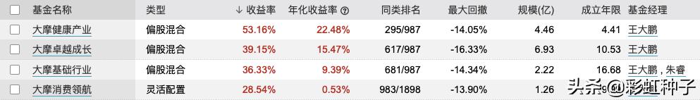 摩根士丹利基金王大鹏,大摩健康基金王大鹏