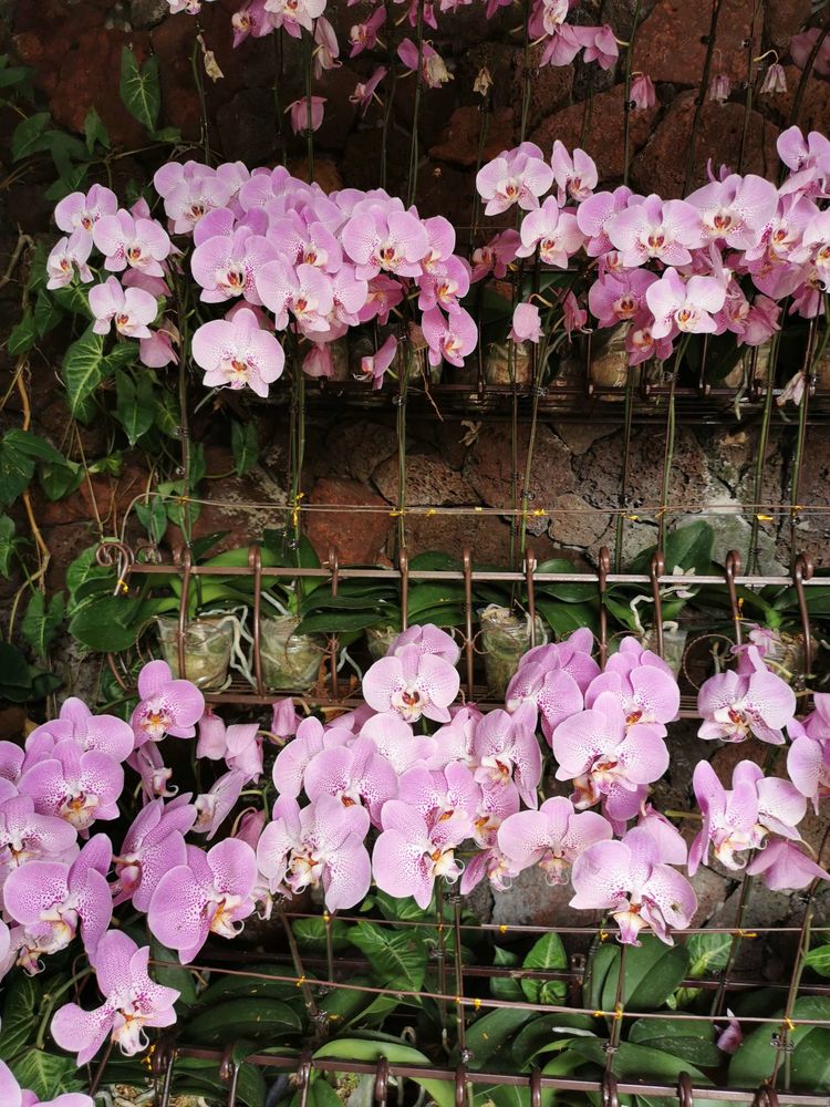 三亚冲浪旅行攻略,去三亚旅游看海