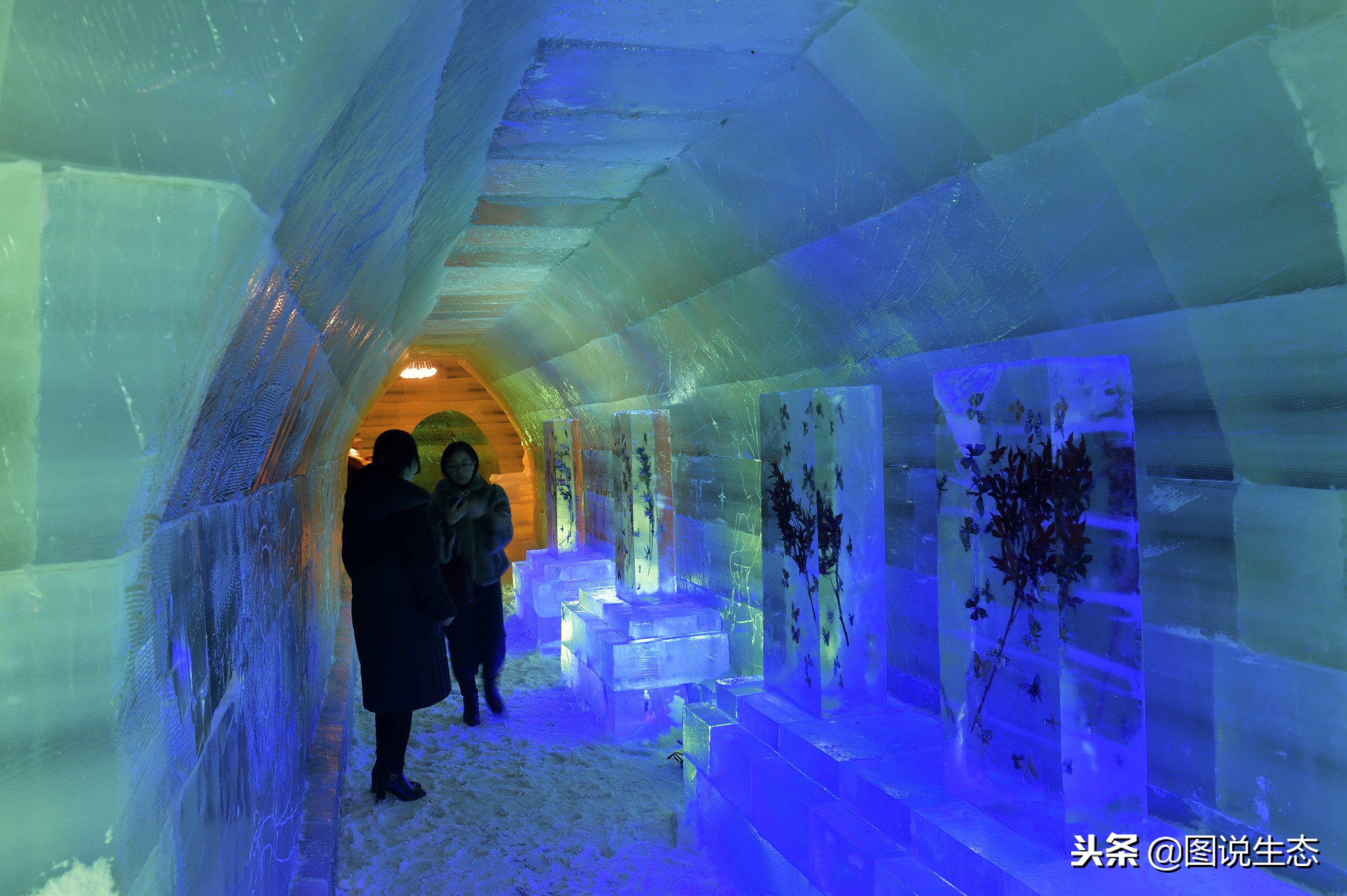 张家口的冬天怎么样,张家口的冬天冷不冷