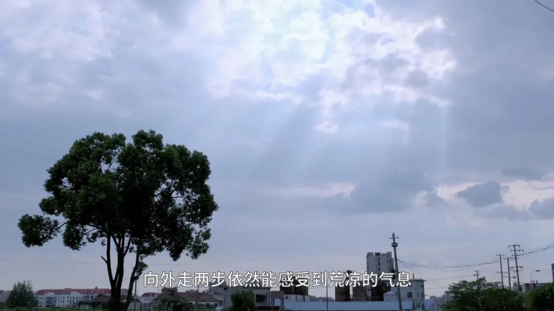 房价8万，逆袭张江？上海外环的唐镇能如愿逆袭吗？