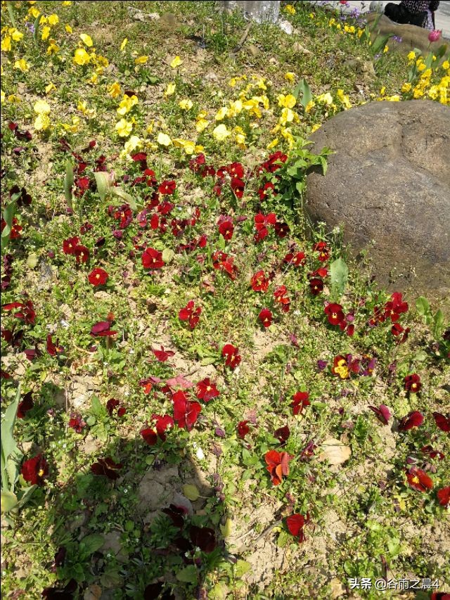 宜兴竹海徒步路线推荐,宜兴竹海最高海拔多少