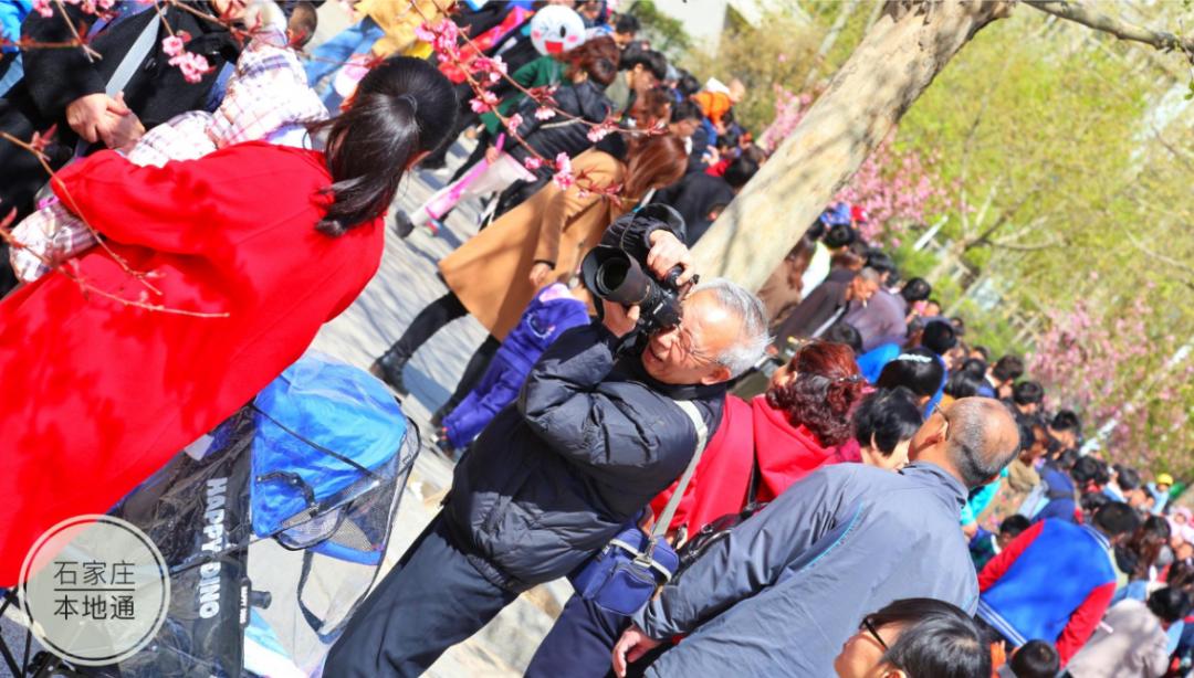 河北科技大学最牛考研,河北科技大学很牛吗