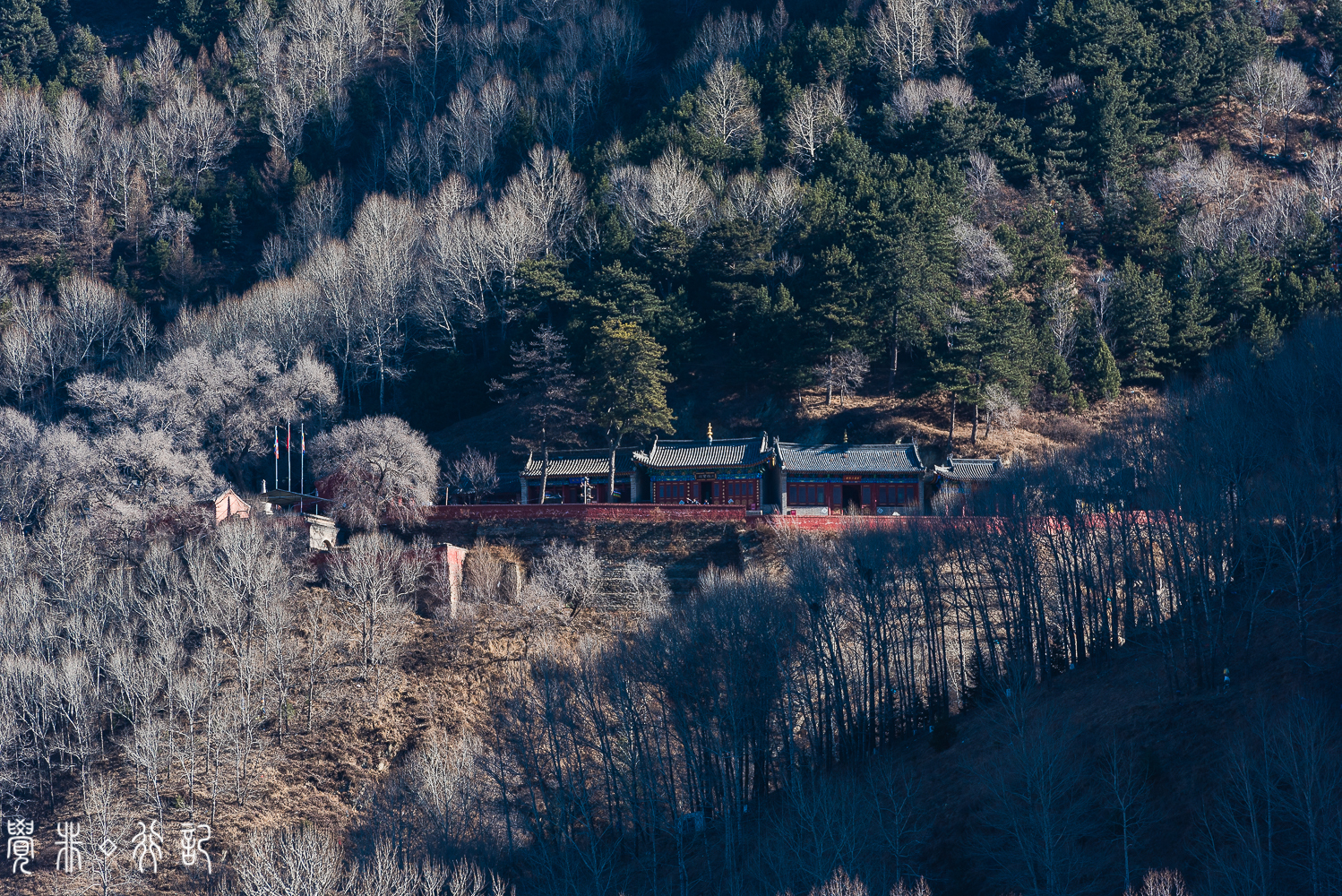 文殊菩萨的道场是哪个佛教名山,文殊菩萨最大的寺院在哪里