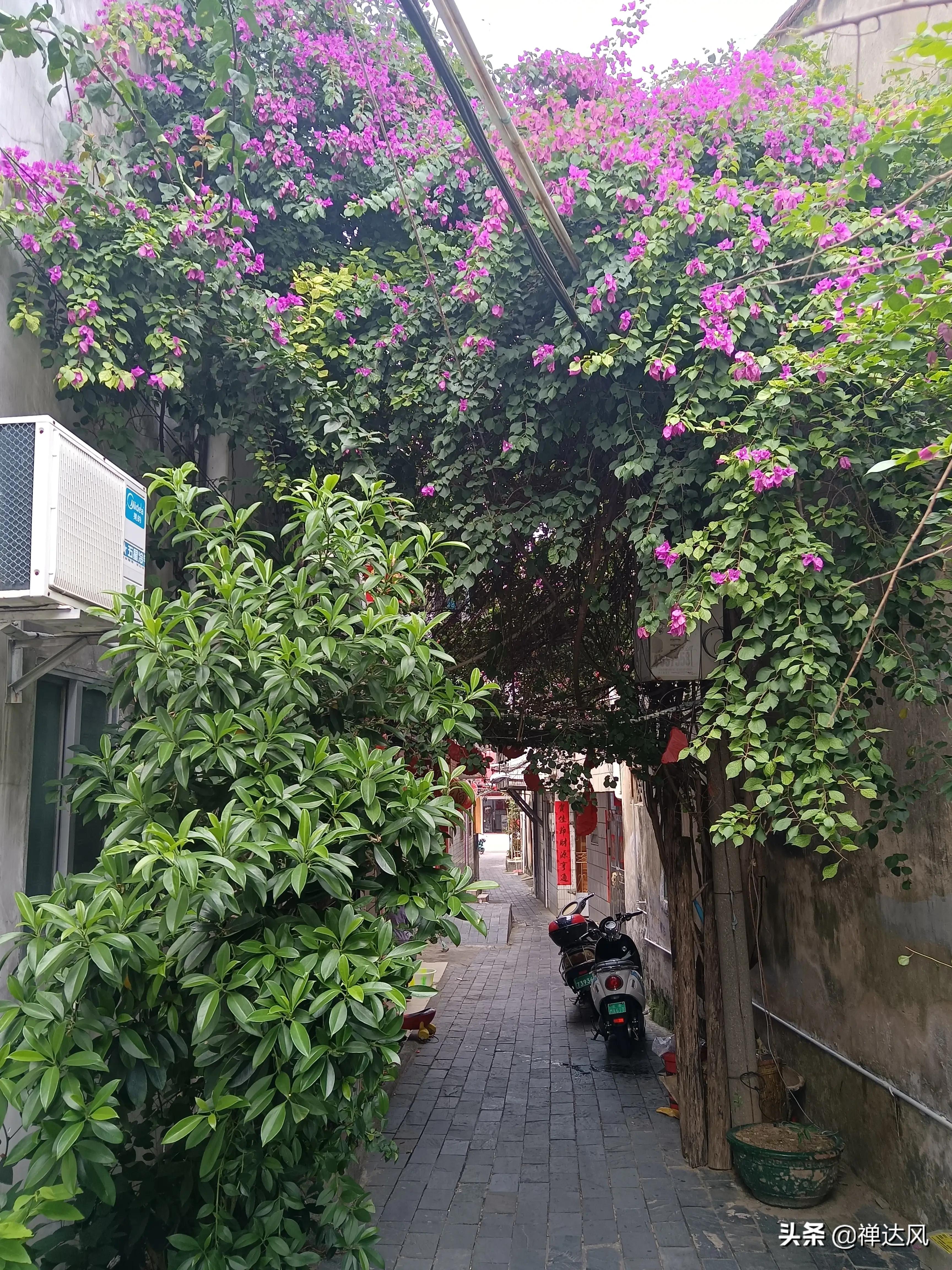 北海旅行流水账,北海道流水账