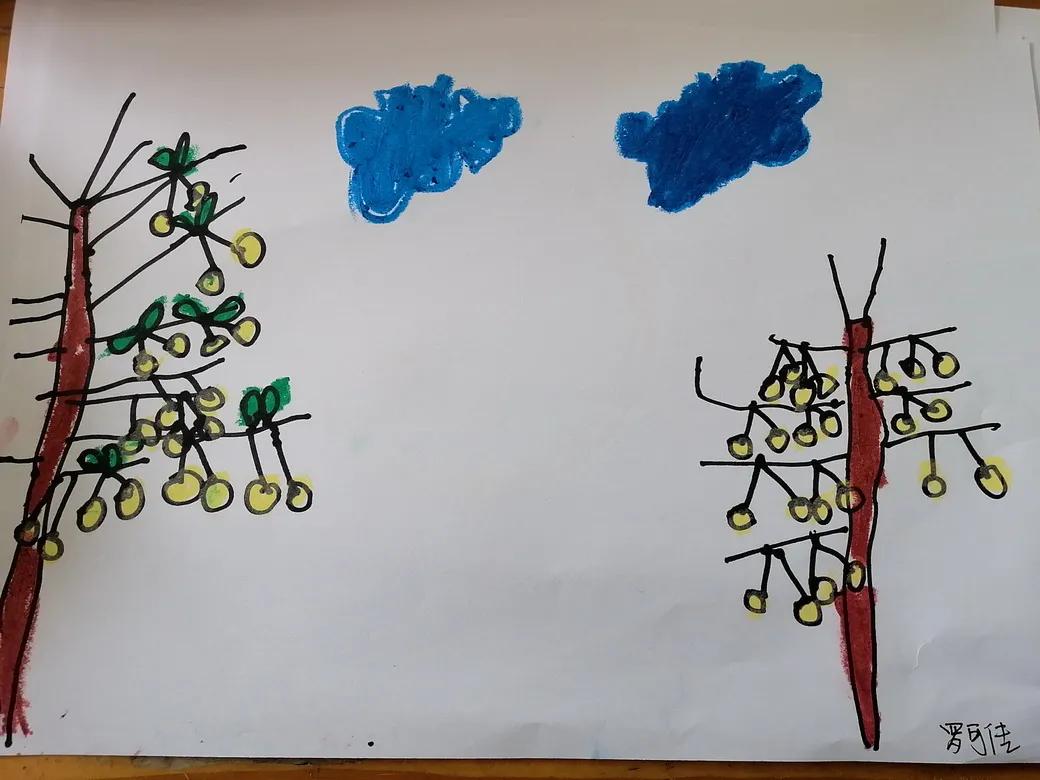 成都市双流区胜利幼儿园主题活动,天府新区幼儿园活动