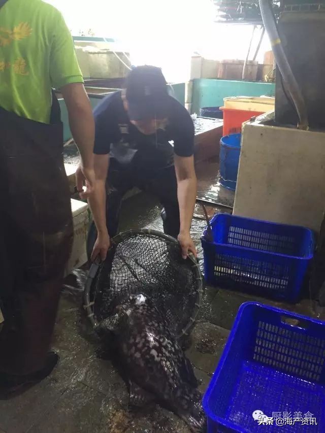 这些诱人的美食你吃过吗,世界上顶级海鲜大全你吃过几种