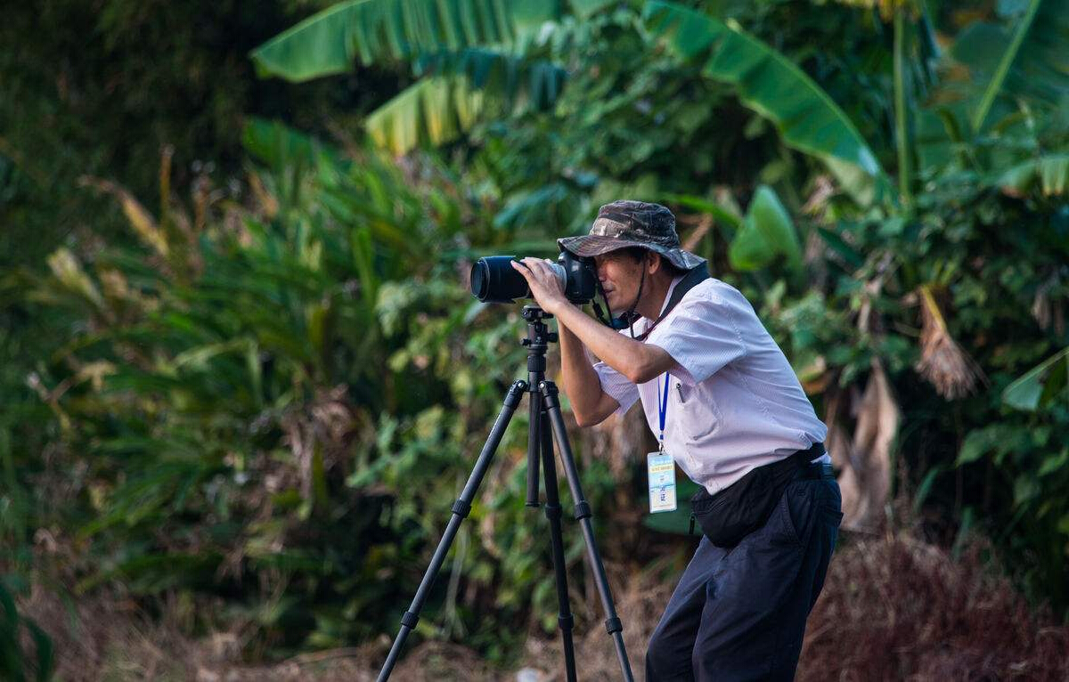 拍照更适合选尼康哪个型号,索尼佳能尼康微单哪个好