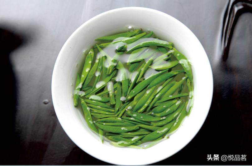 竹叶青放冰箱冷藏还是冷冻保存,竹叶青茶多少度可以长期存放