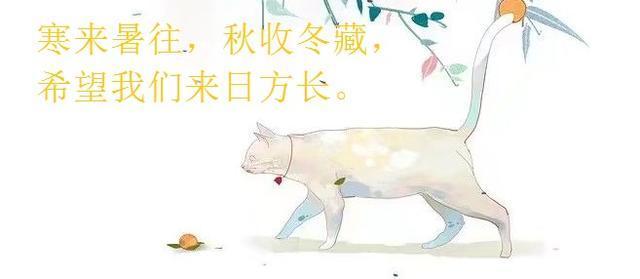 女主冲事业，男主冲爱情：《白月刚》《如意街》男主自我攻略笑死