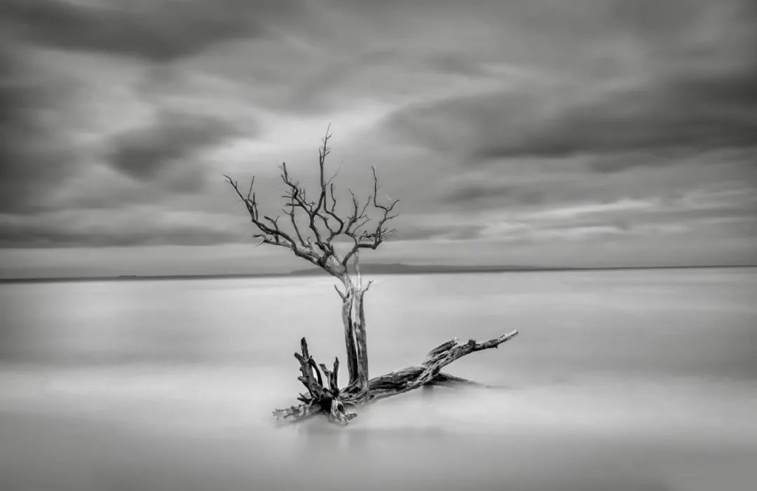 为什么黑白摄影比较经典,大师级的黑白摄影作品