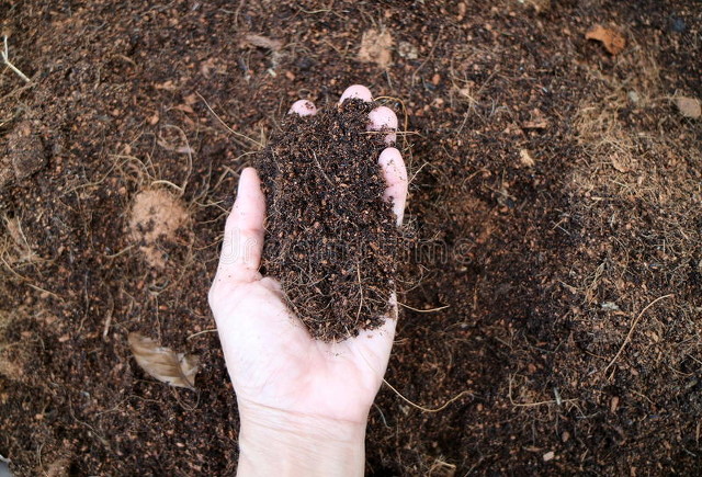 日本水果种植技术发达吗,日本水果发展前景
