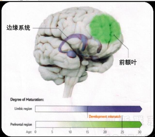 意识是如何运作的？本文将颠覆你的认知