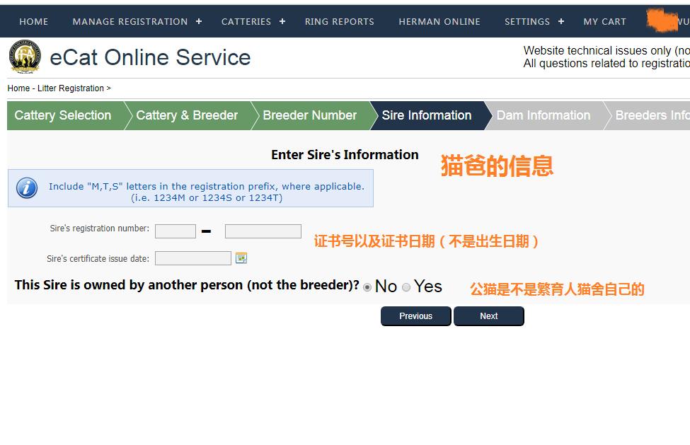 花重金买猫,花高价买的猫