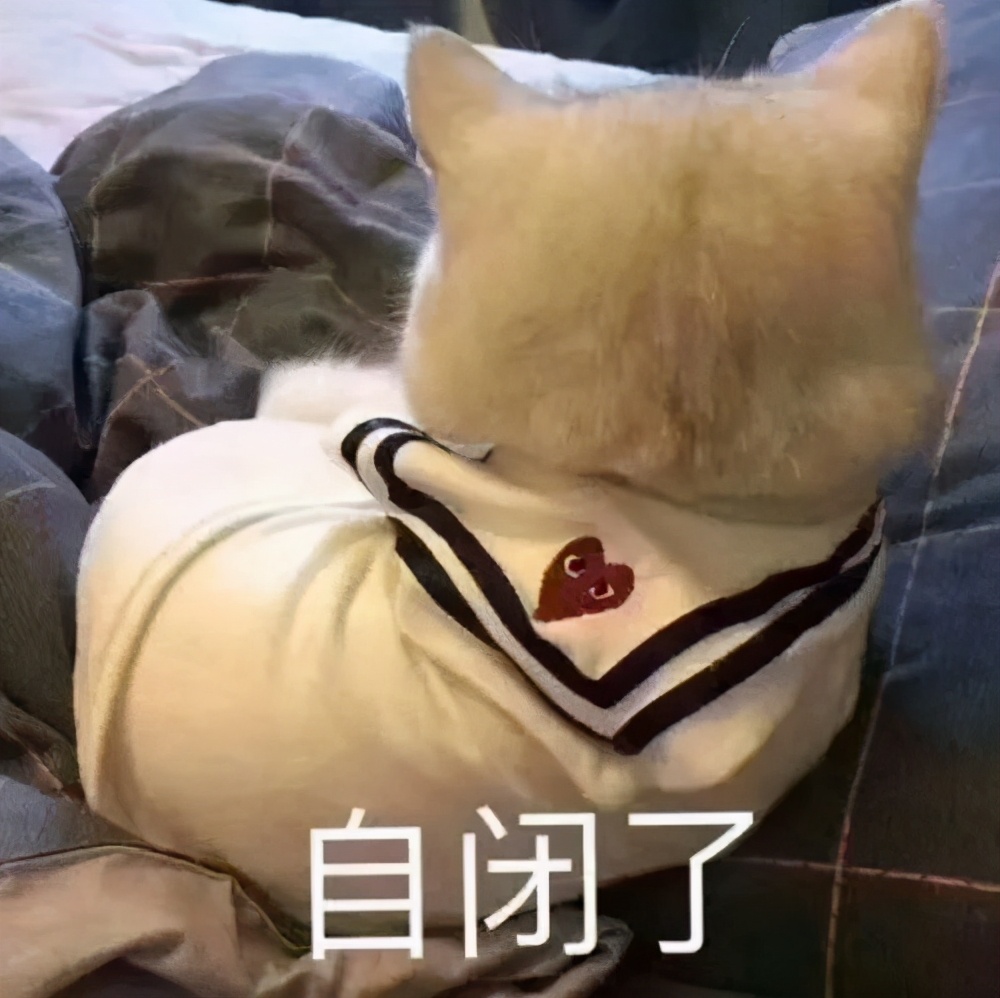 国产樱桃身价碾压进口车厘子,山东樱桃价格最新行情车厘子