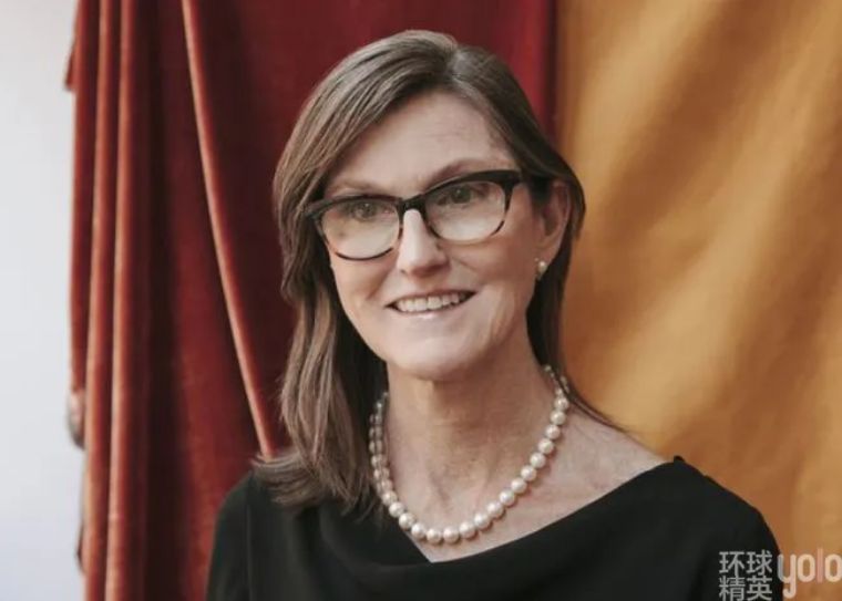 凯瑟琳巴菲特视频,女版巴菲特投资项目