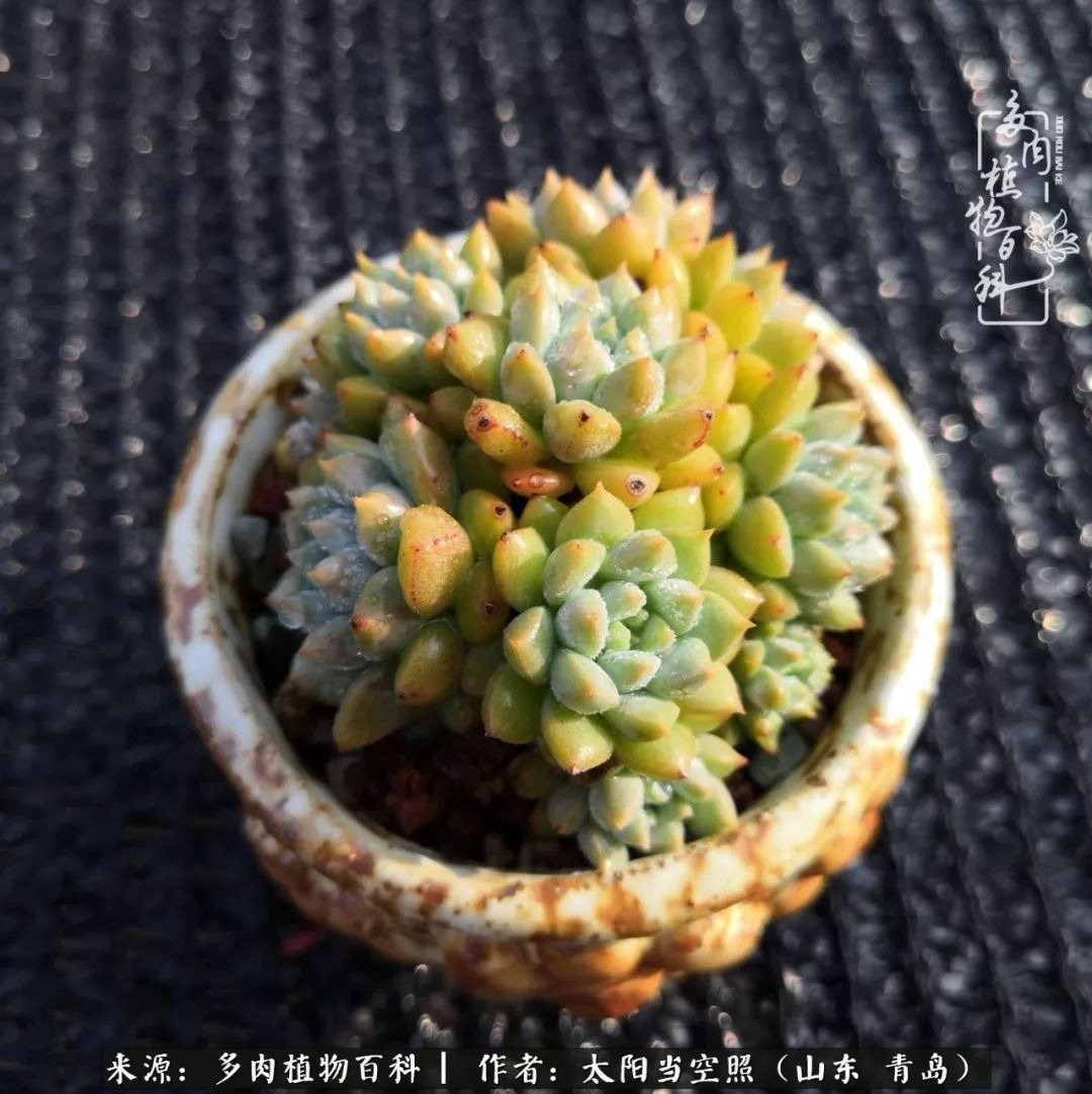 离家在外才发现最难忘的是故乡情,离家在外看见家乡的东西