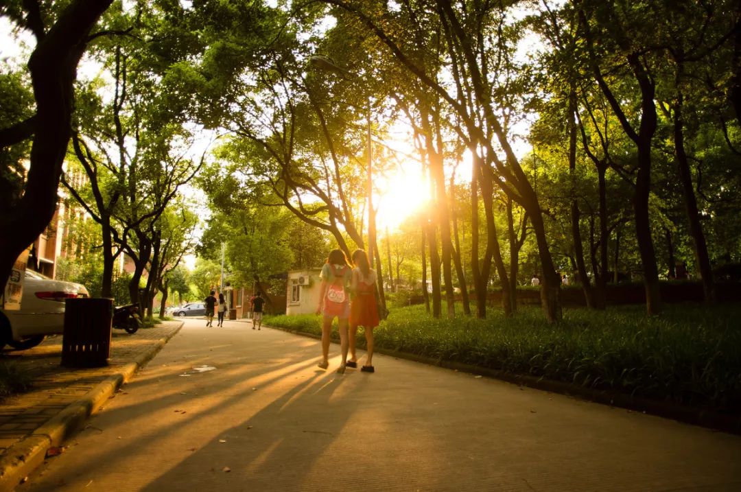 武汉值得推荐的学校,城院校园