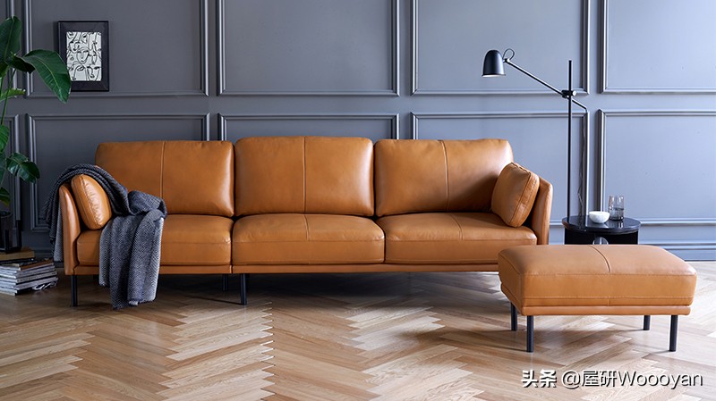 选沙发看颜色的皮子叫什么,选沙发不想踩坑记住这5点就够了