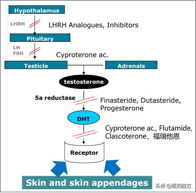 鑴卞彂娌荤枟甯傚満,鐧句嚎鑴卞彂鑽墿甯傚満鐨勬柊鏈潵