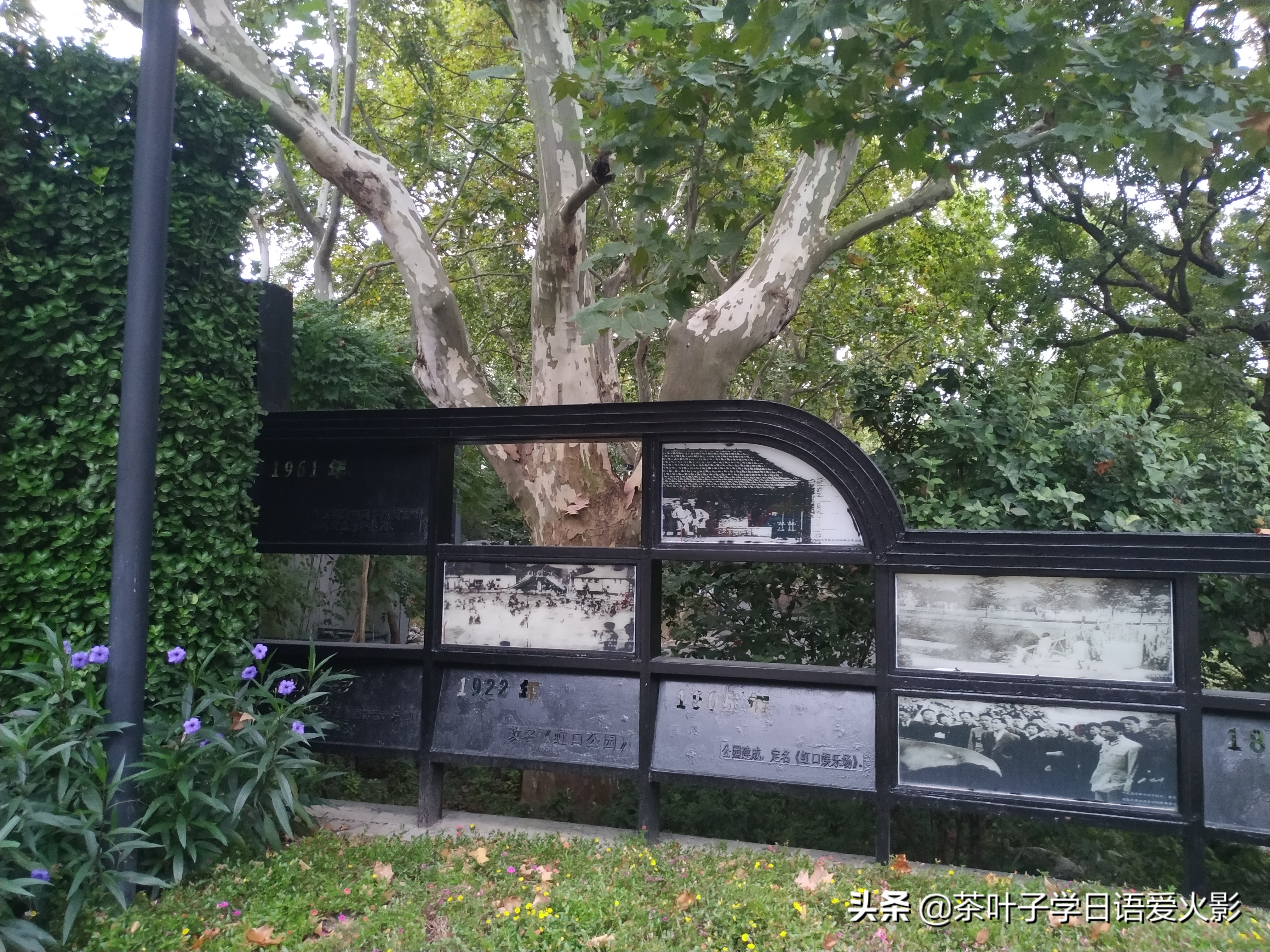 上海甜爱路，打卡不要错过哦，还有鲁迅公园