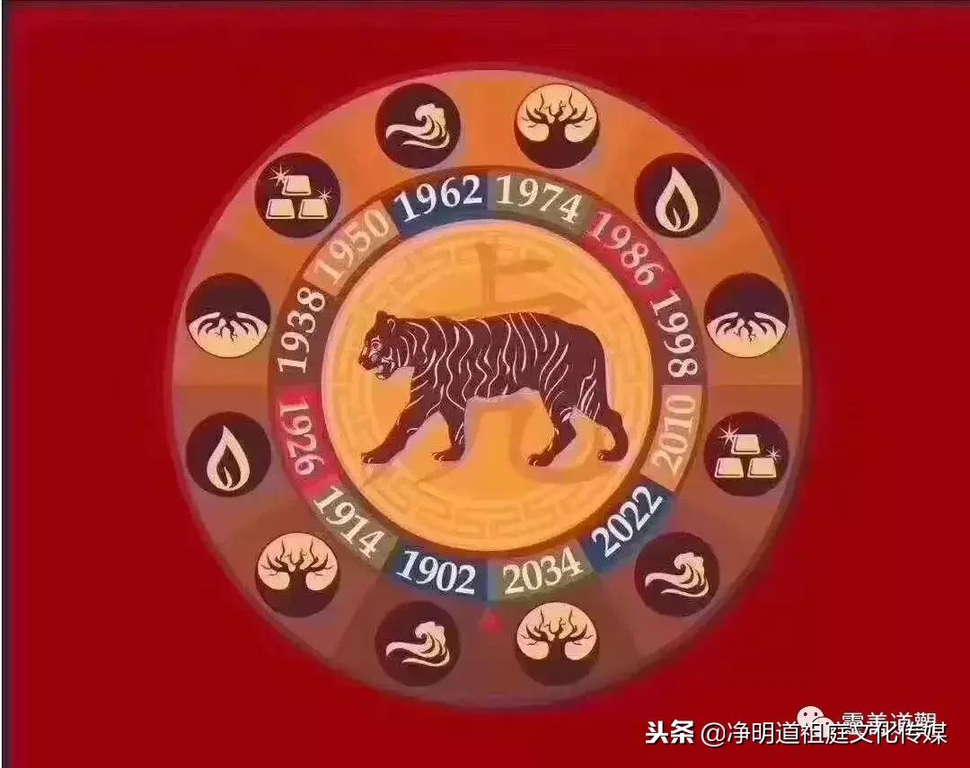 2019年己亥年太岁,猪年本命年怎么化解犯太岁