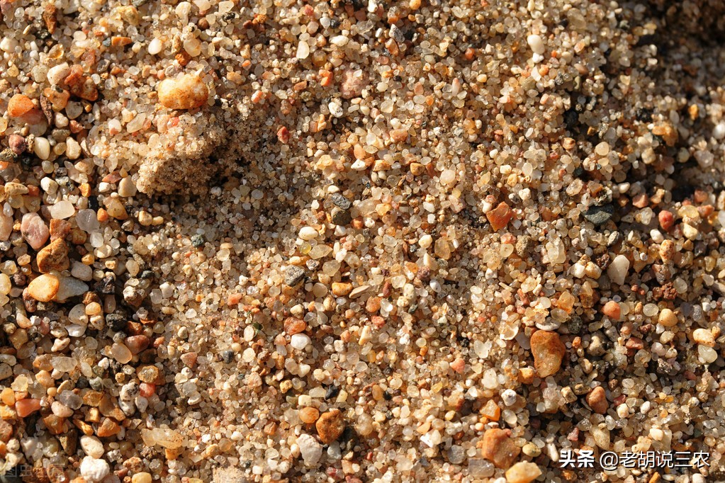 砂子价格飞涨,砂子为什么涨价这么厉害