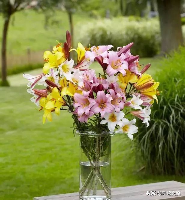 养干花花瓶放水吗,养康乃馨花瓶放多少水