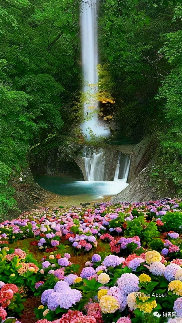 文学家常识总结,文学家常识