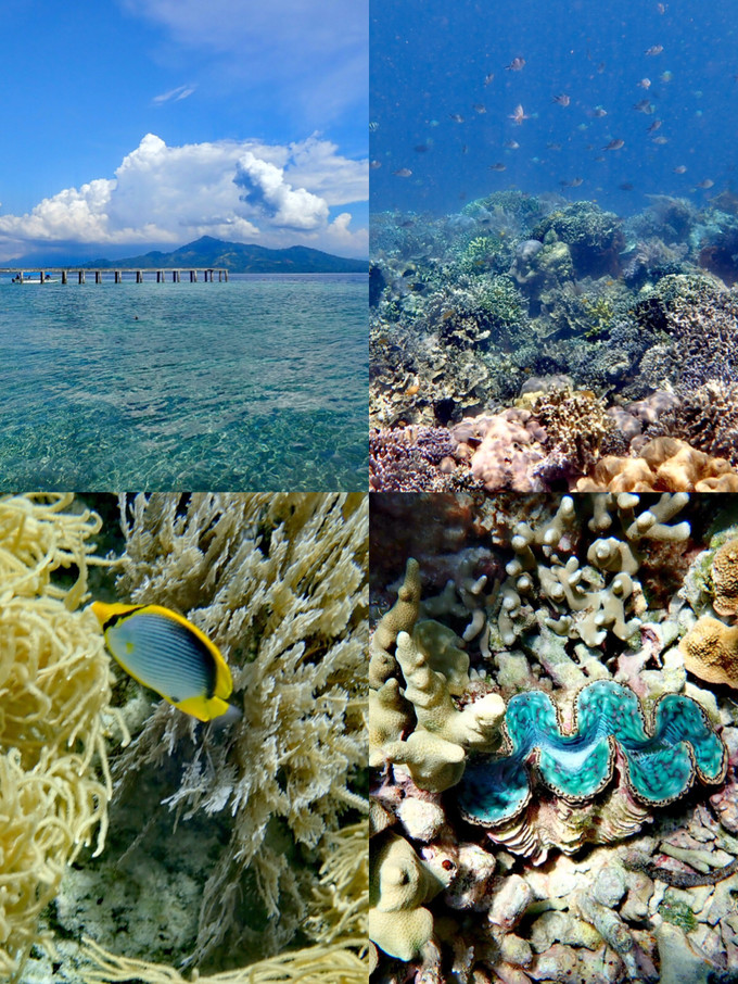 岛民旅游攻略,美娜多旅游详细攻略