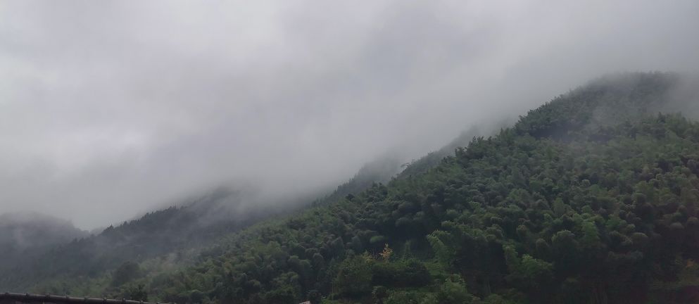 一场烟雨,把人困进仙境!藏在金华南山的这个小村,不求爆红,只求安静邂逅!