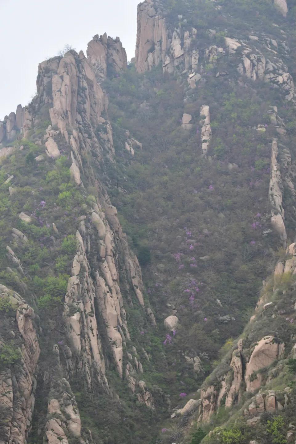 绥中鹦鹉沟景区,绥中鹦鹉沟