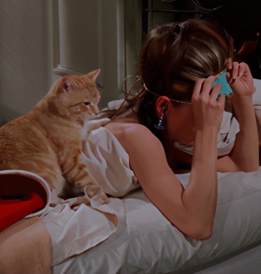 猫式伸展提高气质,猫式灵动