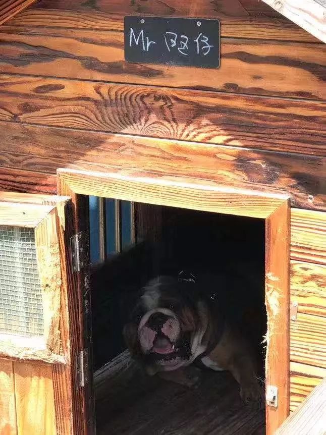 肖战无锡同款打卡,肖战美食重庆同款地点打卡攻略