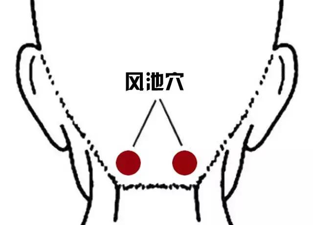 容易感冒提高免疫力的穴位,三伏天增强免疫力穴位