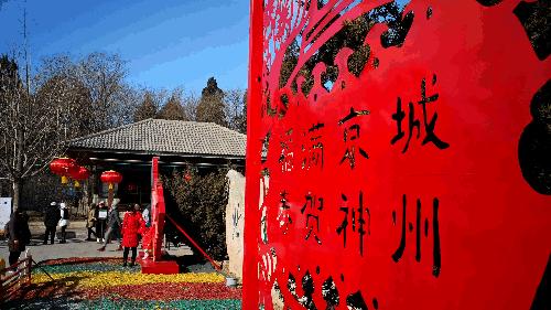 美美美！海淀这个地儿，万株兰花惊艳来袭，你招架的住吗？