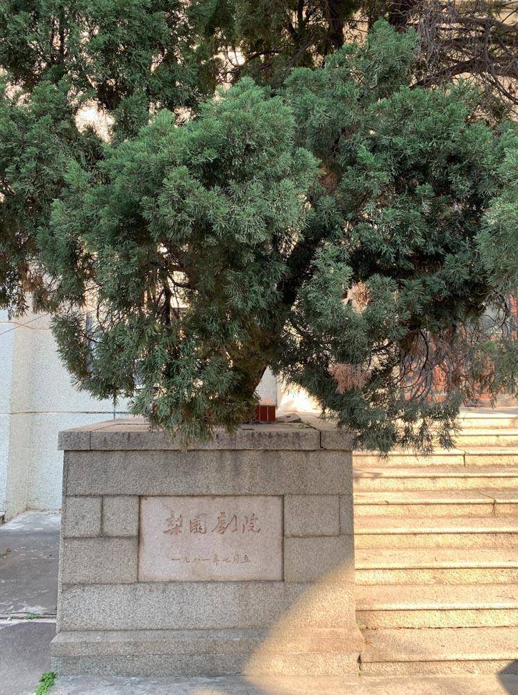 一个想变成蚯蚓的男人，和一个想变成鹅的女人