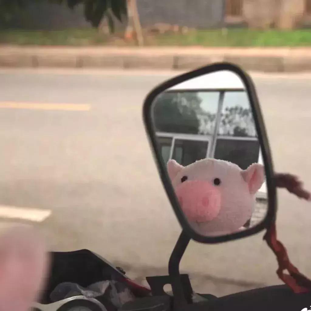 背景图推荐全白,背景图精选好物