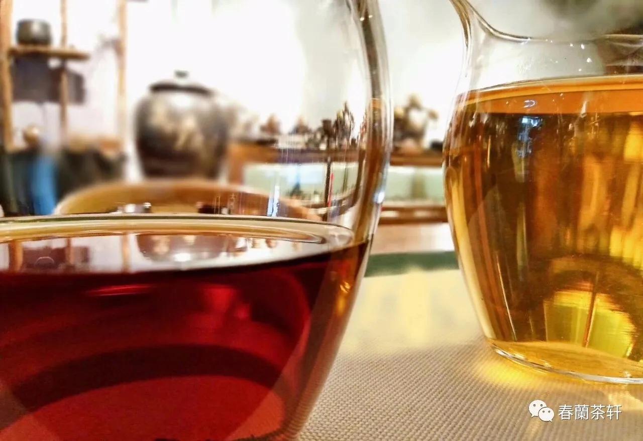 与茶结缘的视频,与茶结缘是什么意思