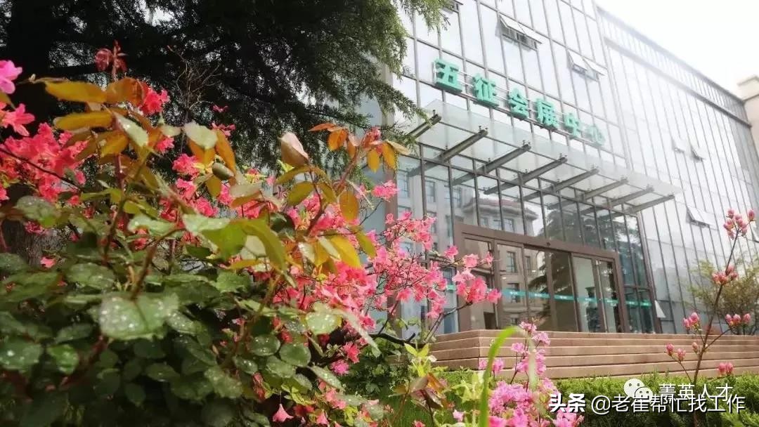 日照营销总监招聘,日照老城区销售业务招聘