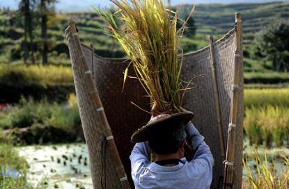 为什么说穷死不耕丈人田,饿死不耕丈人田是什么意思