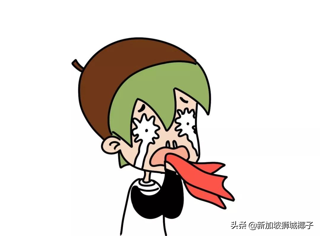 新加坡物价涨价吗,新加坡涨价公告