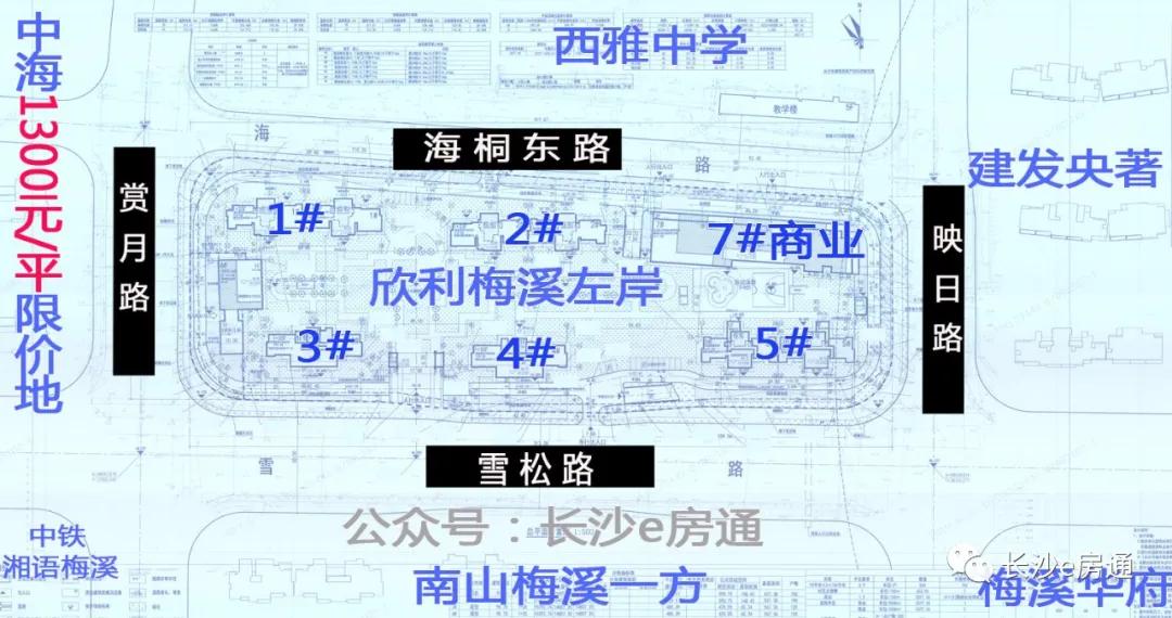 长沙梅溪湖振业城一期别墅200平米,梅溪左岸以后怎么样