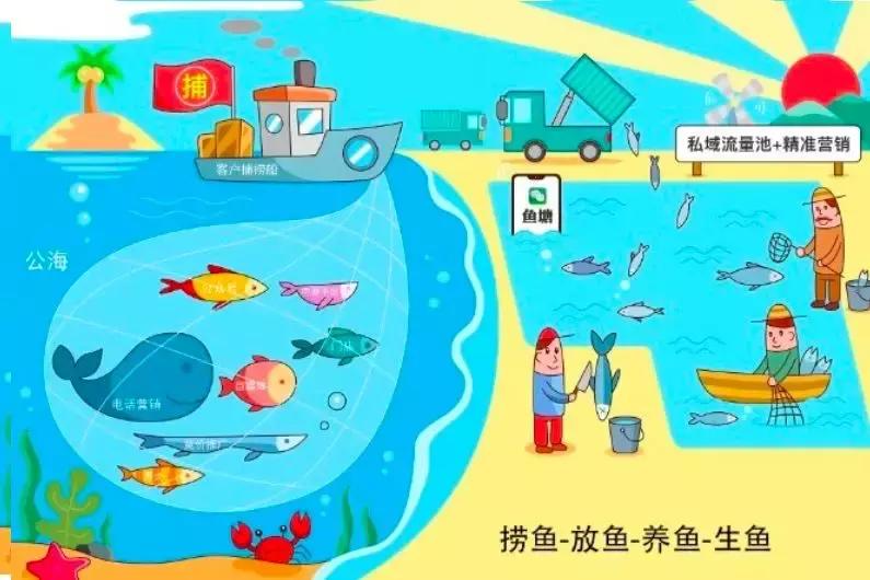 实体门店私域流量的框架搭建流程,企业微信私域流量搭建方法与技巧