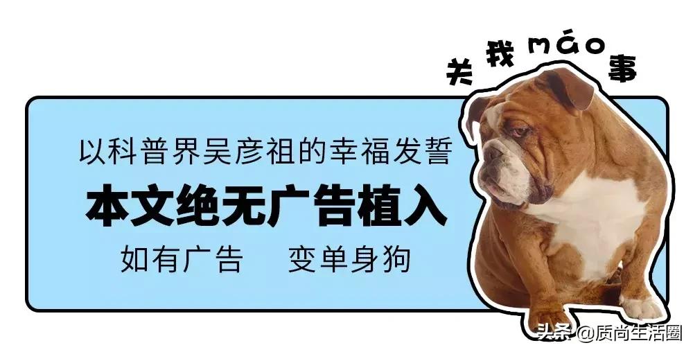 保暖内衣优衣库好还是迪卡侬好,优衣库与迪卡侬的衣服哪家比较好