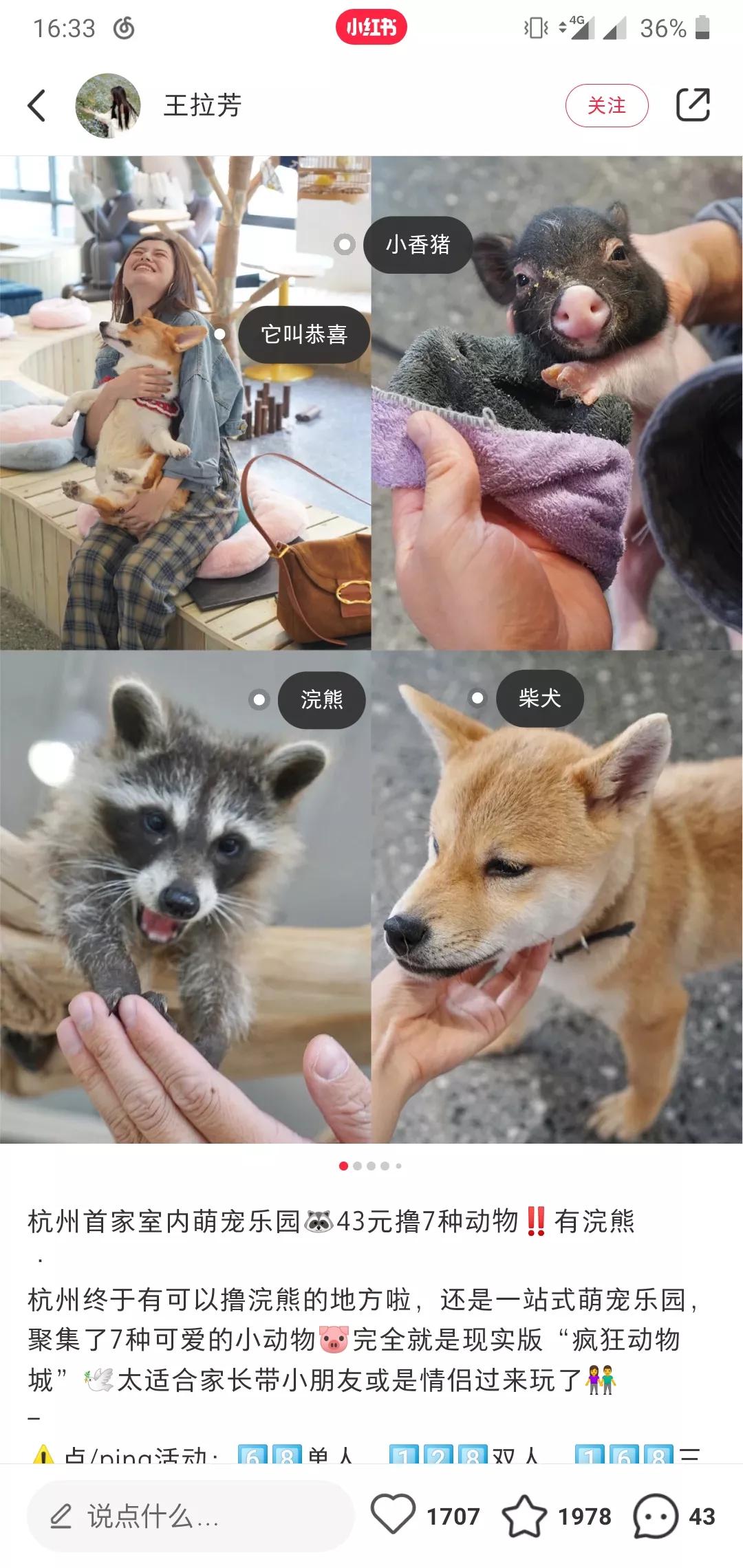 做小红书不接广告能赚钱吗,红书如何做推广赚钱