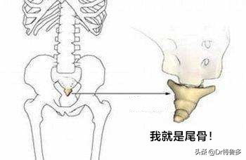 屁股后面隐隐作痛,屁股上面的小尾巴疼什么原因