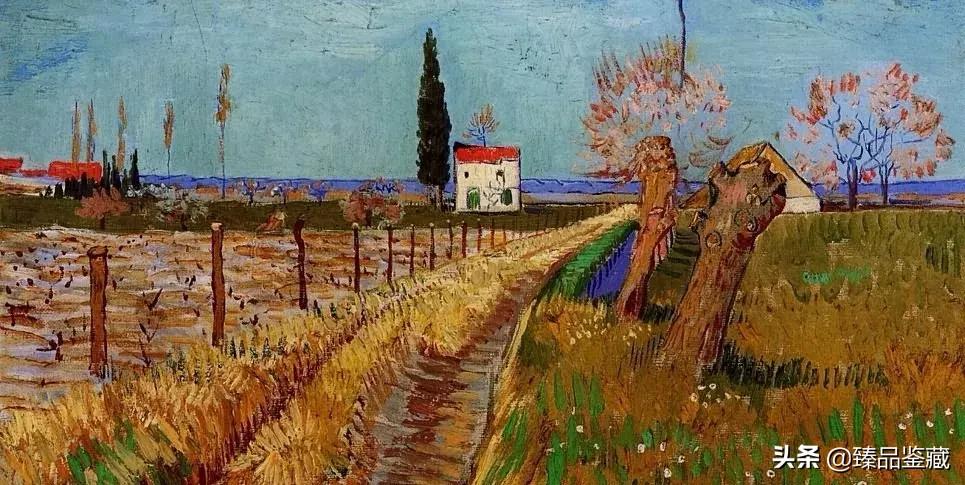 梵高在薄情的世界深情的活着,梵高是一个孤独的疯子