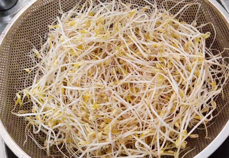 零添加豆芽种植方法,想吃豆芽在家发