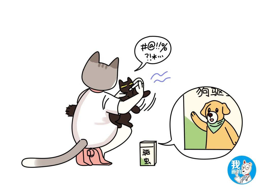 辟谣：驱虫针和驱虫项圈，这些网红产品真的有奇效？别交智商税了