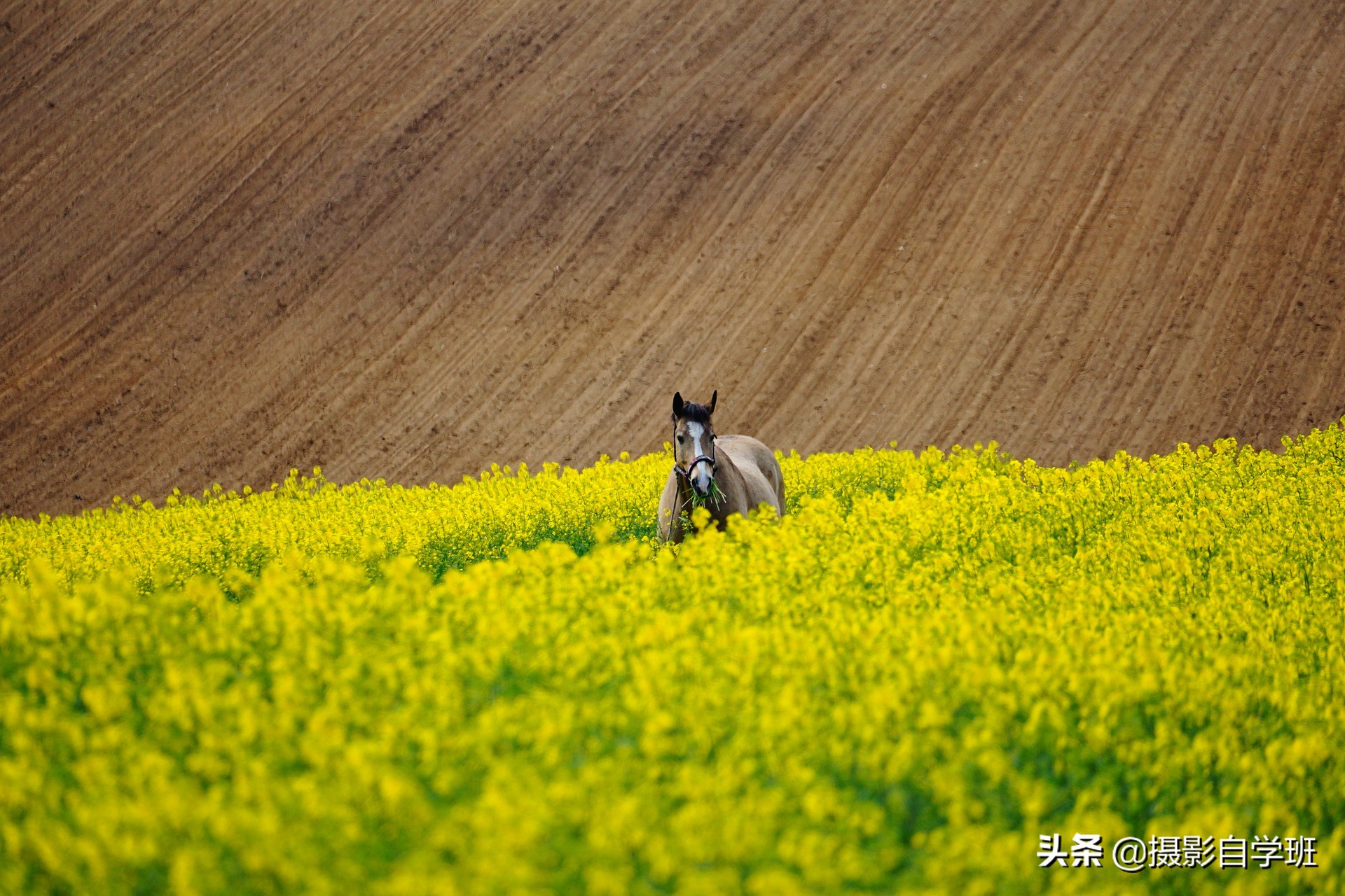 摄影小技巧风景照,风光摄影高原风景